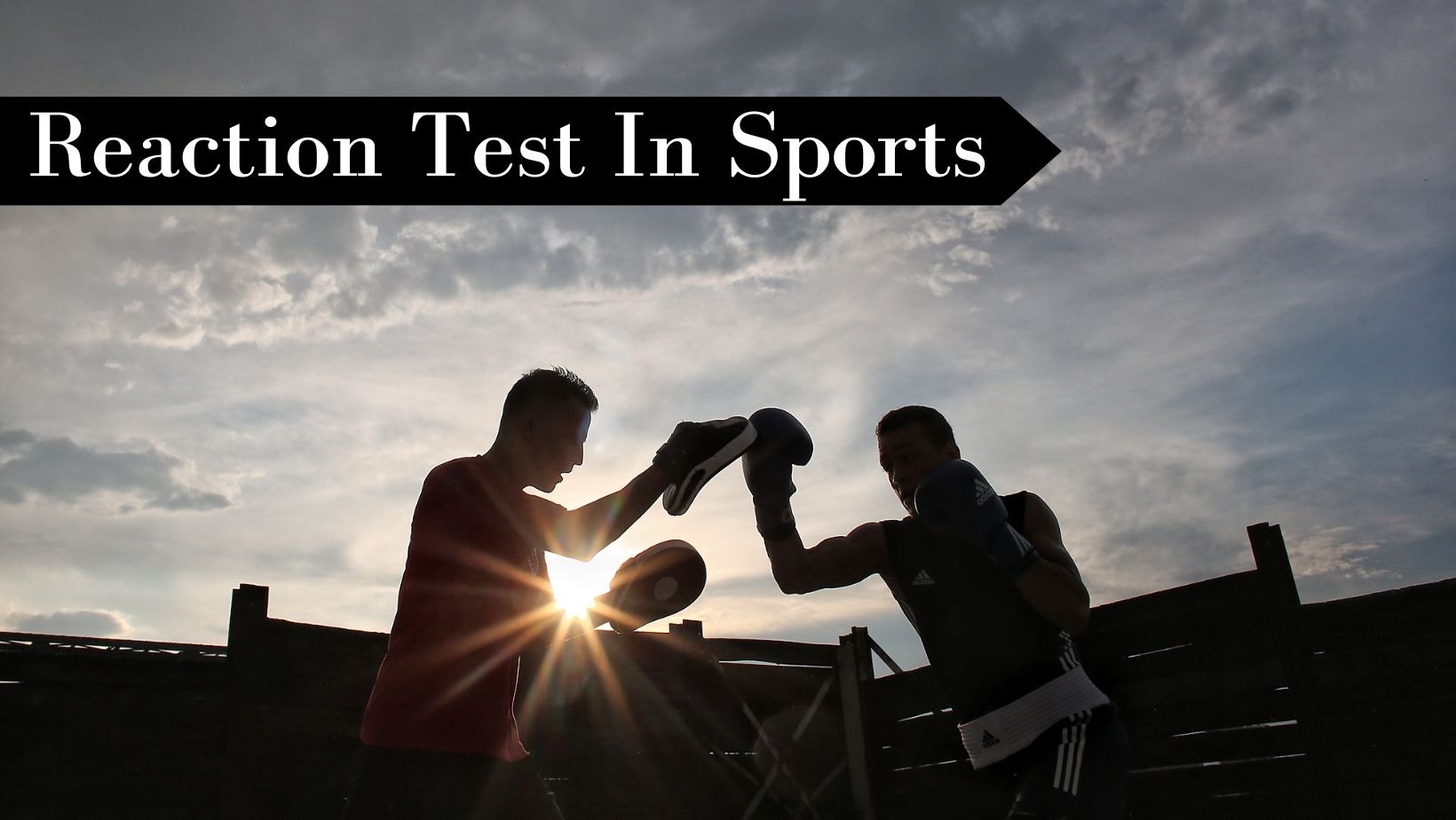 Test For Reaction Time In Sport at Michael Hannigan blog